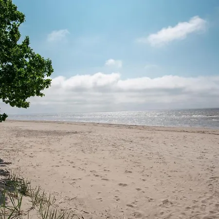 Andropoff Valgeranna