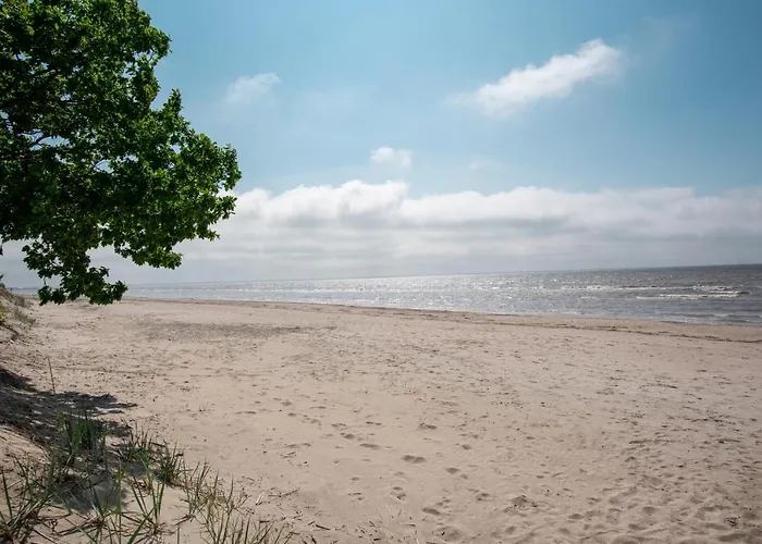 Andropoff Valgeranna