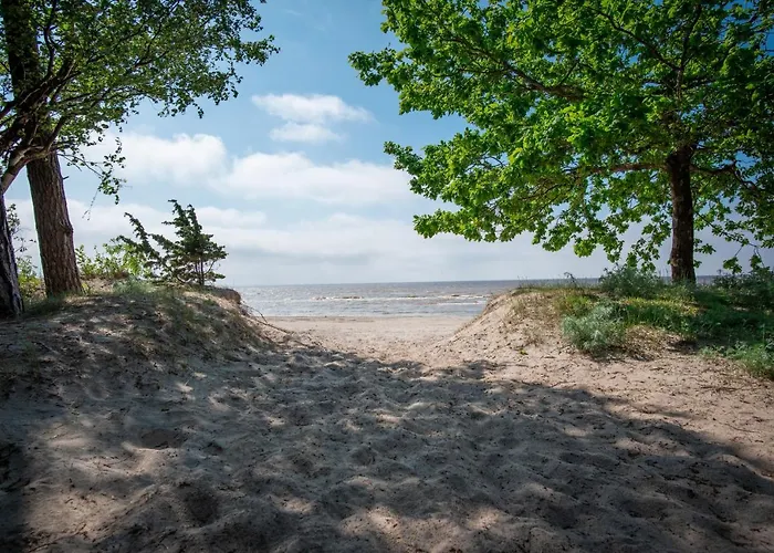 Отель Andropoff